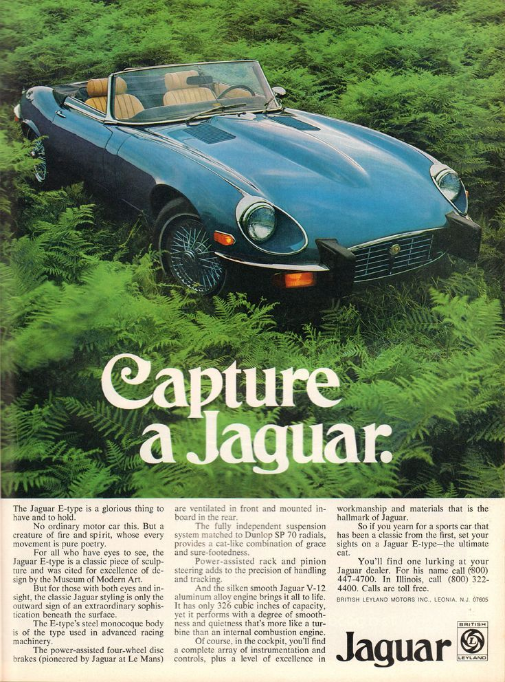 image10 | Evok Advertising